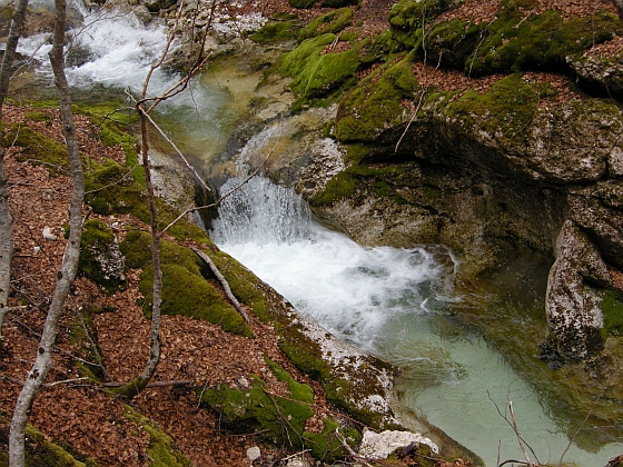 Escursione Parco Nazionale d''Abruzzo